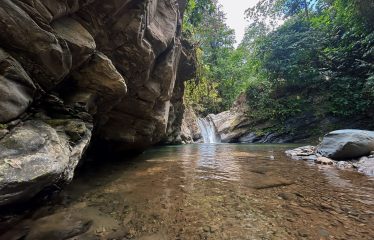 JUNGLE DREAMS FARM: WHERE NATURE MEETS SERENITY – 20 ACRES